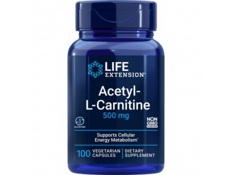 Supplement